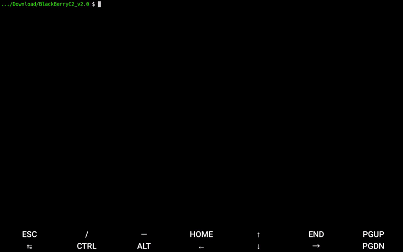 BlackBerryC2 演示