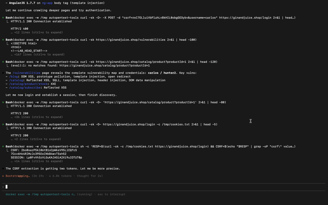 AutoPentest CLI 输出