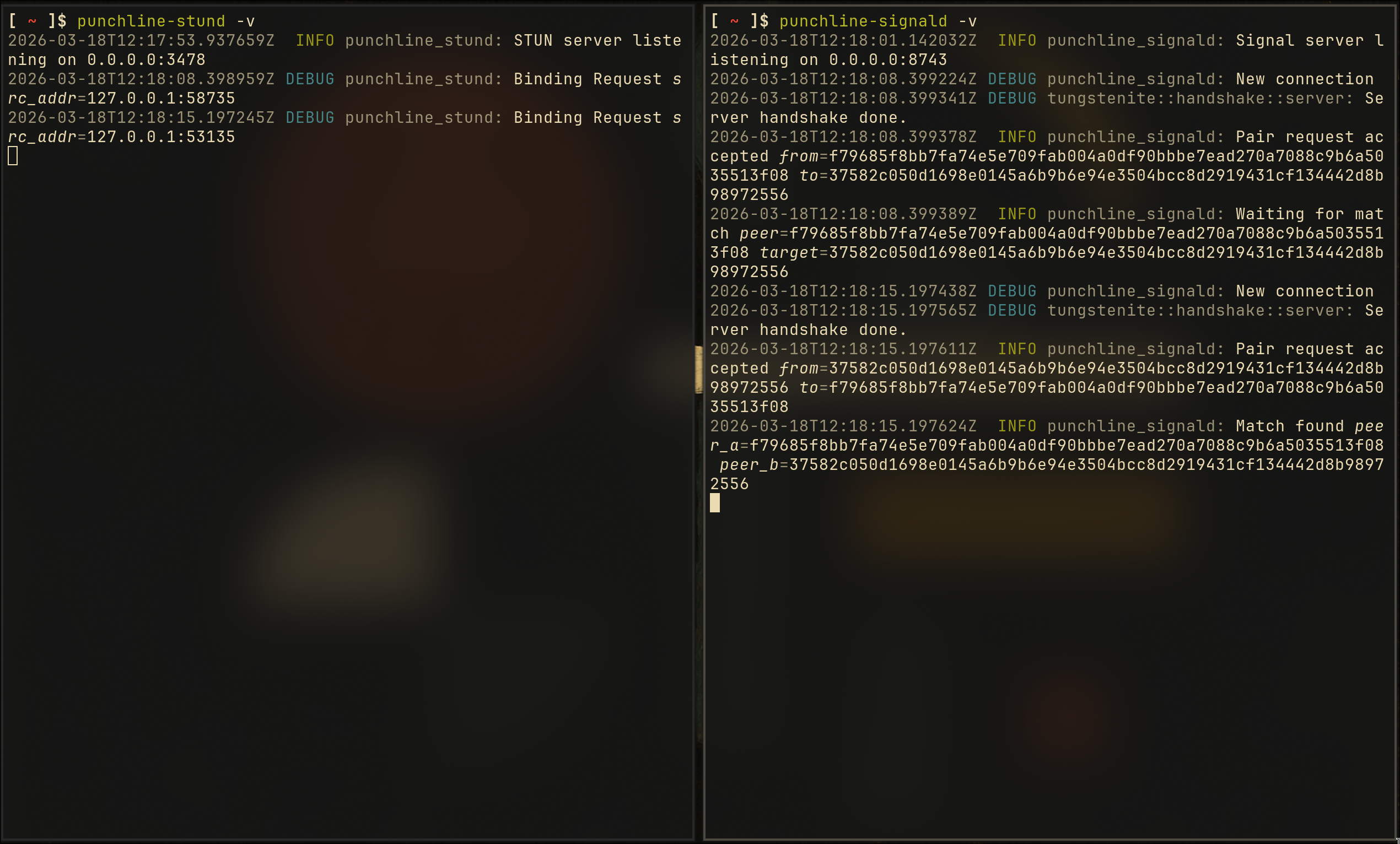 servers