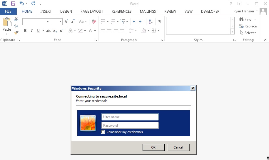 Basic Auth Dialog in Word Word中的基本认证对话框