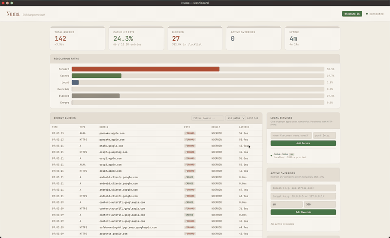 Numa dashboard