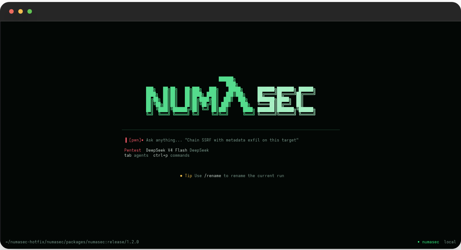 टर्मिनल में चल रहा numasec AI सुरक्षा एजेंट