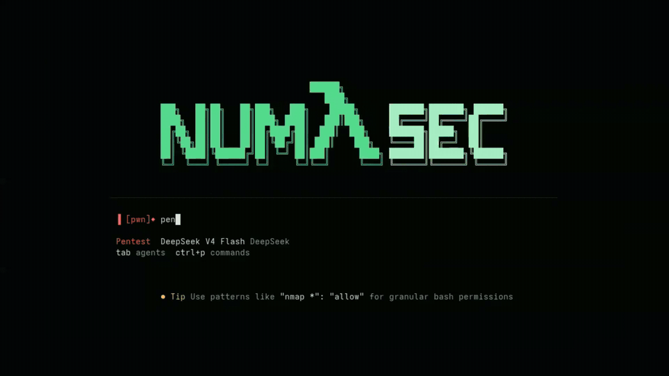numasec टर्मिनल से एक स्कोप्ड सुरक्षा ऑपरेशन चला रहा है