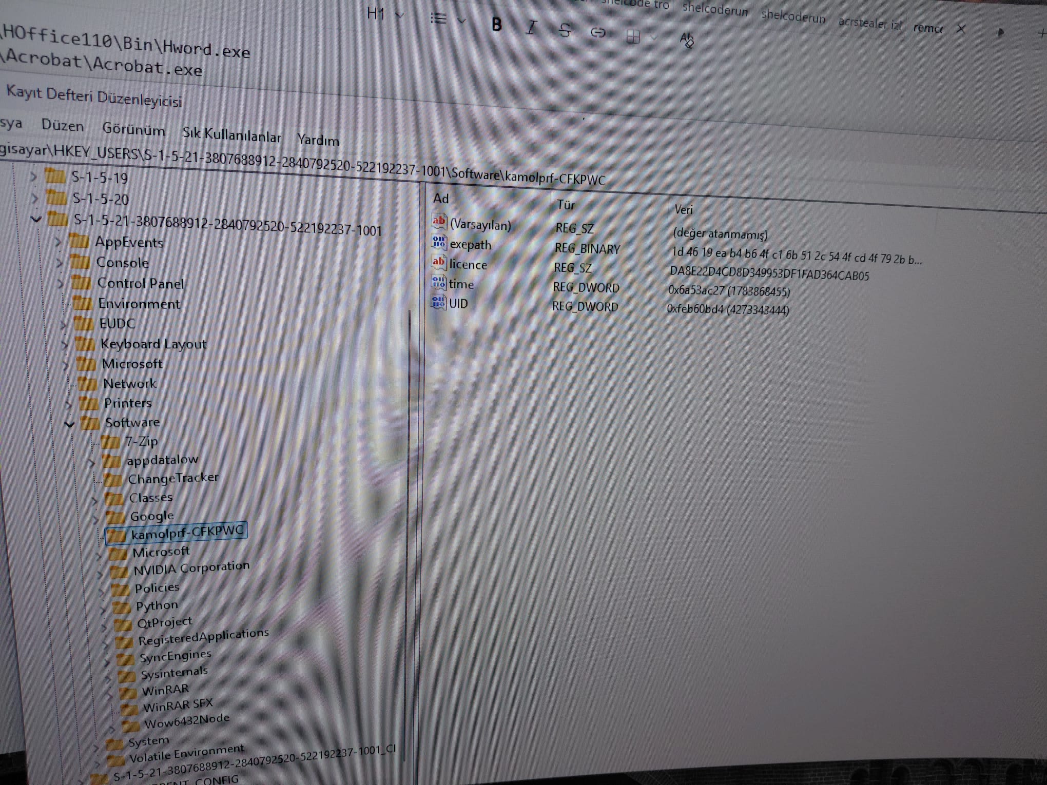 Remcos Registry Persistence