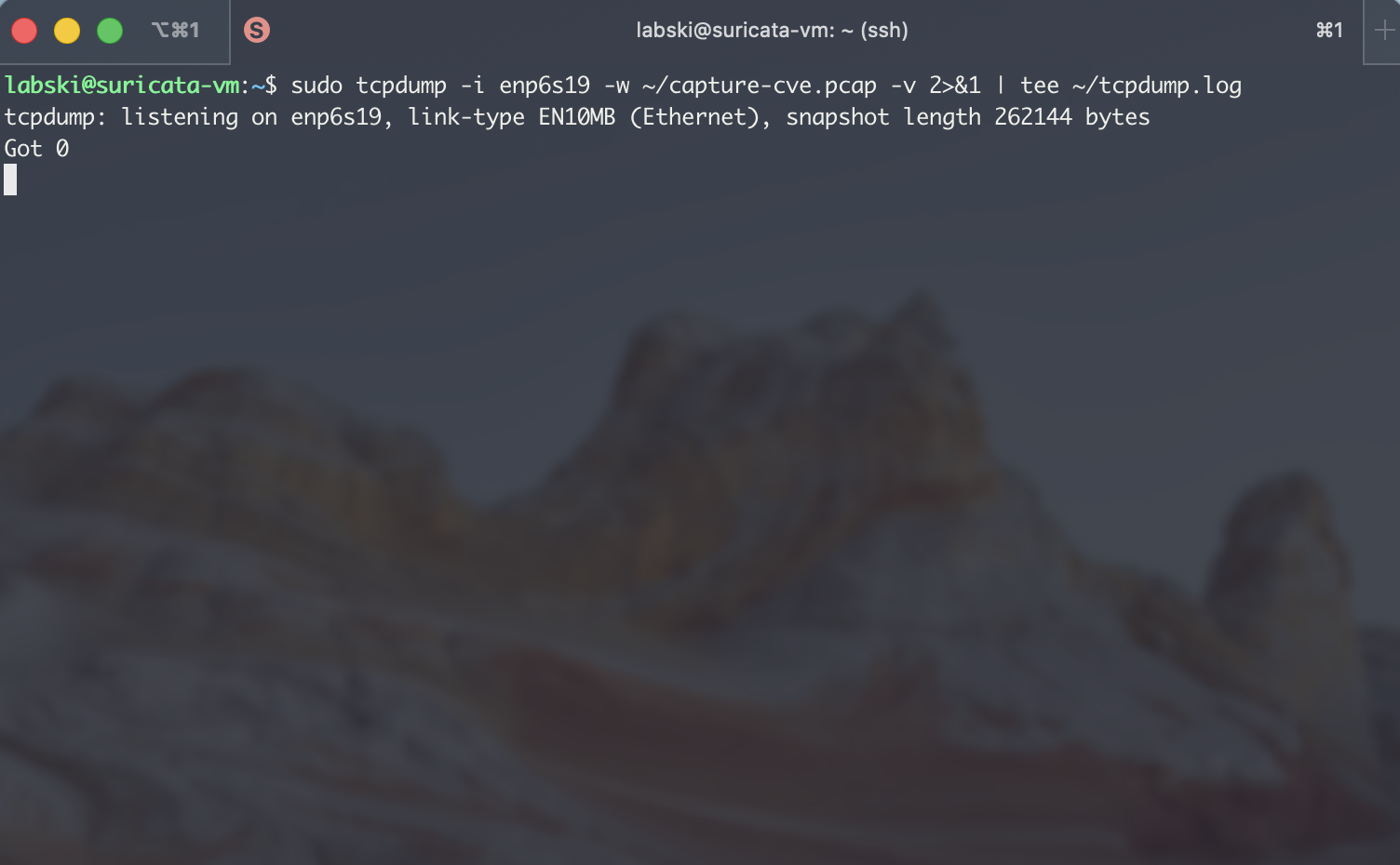 نسخة أحداث حركة مرور suricata
