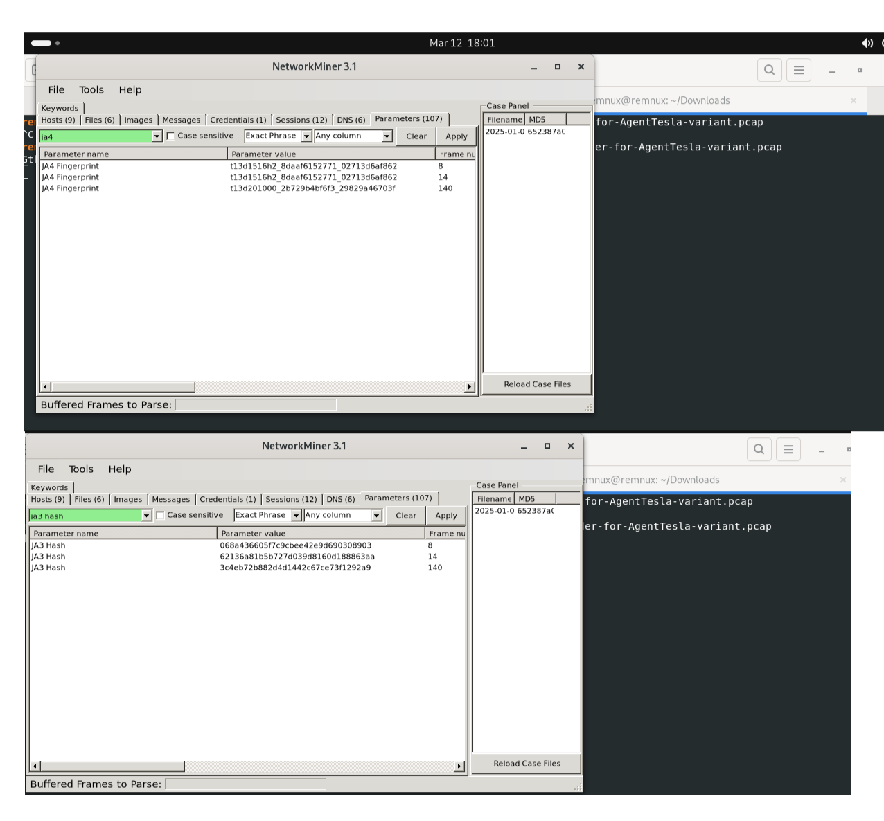 Отпечатки JA4/JA3 Networkminer