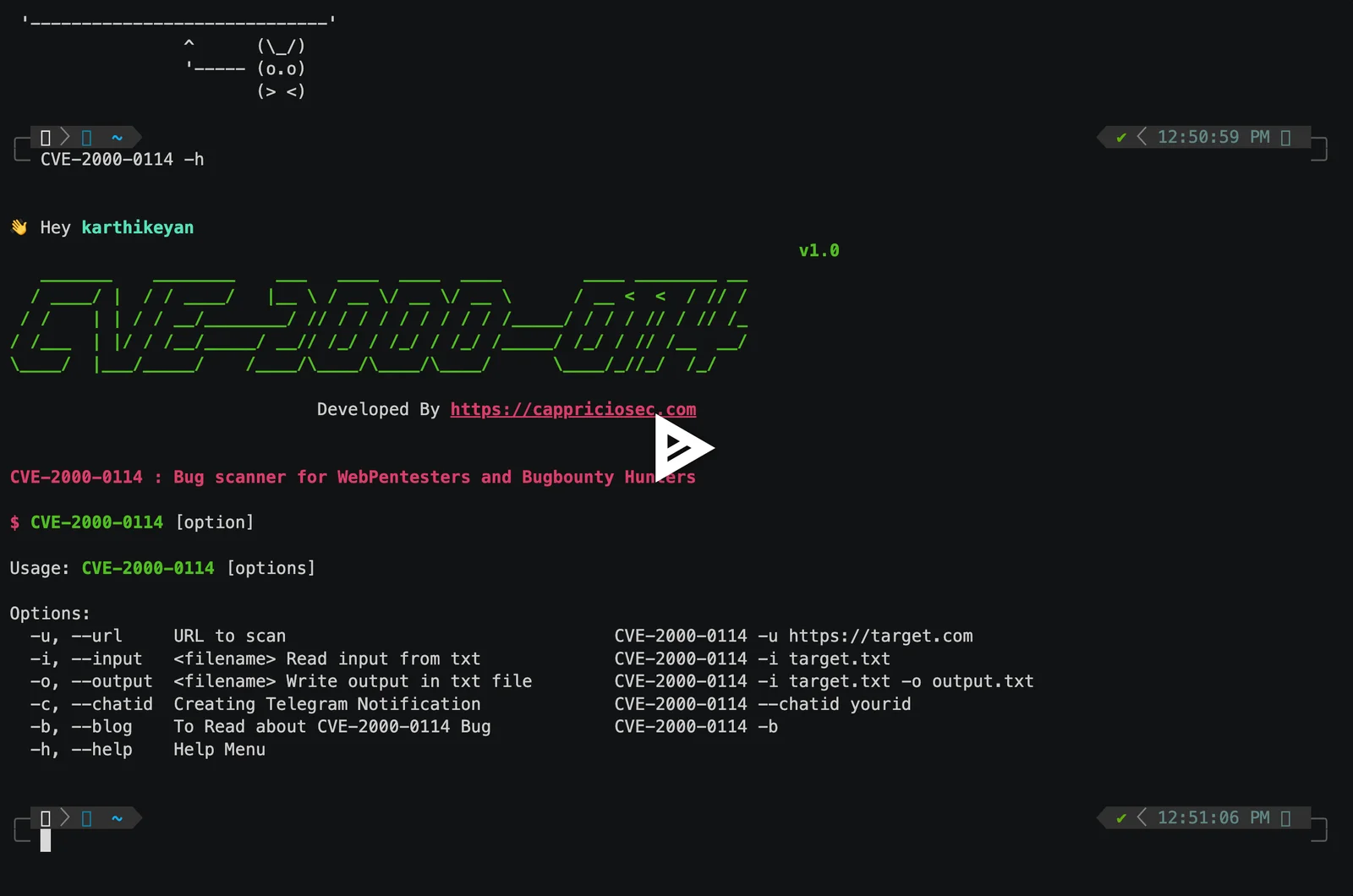 asciicast