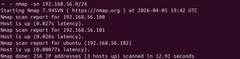 Host-Erkennungsscan