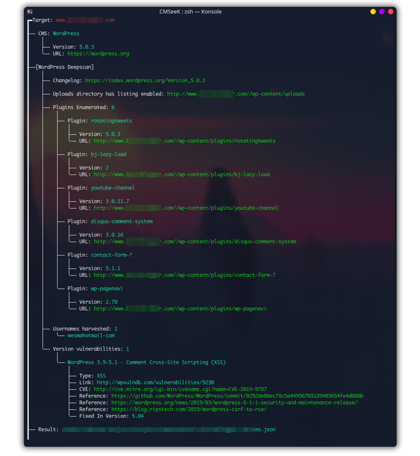Resultado del escaneo de WordPress