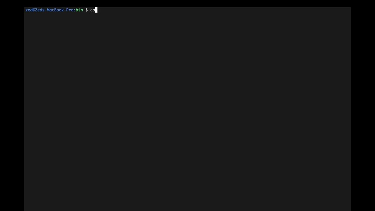 IMAGE ALT TEXT HERE