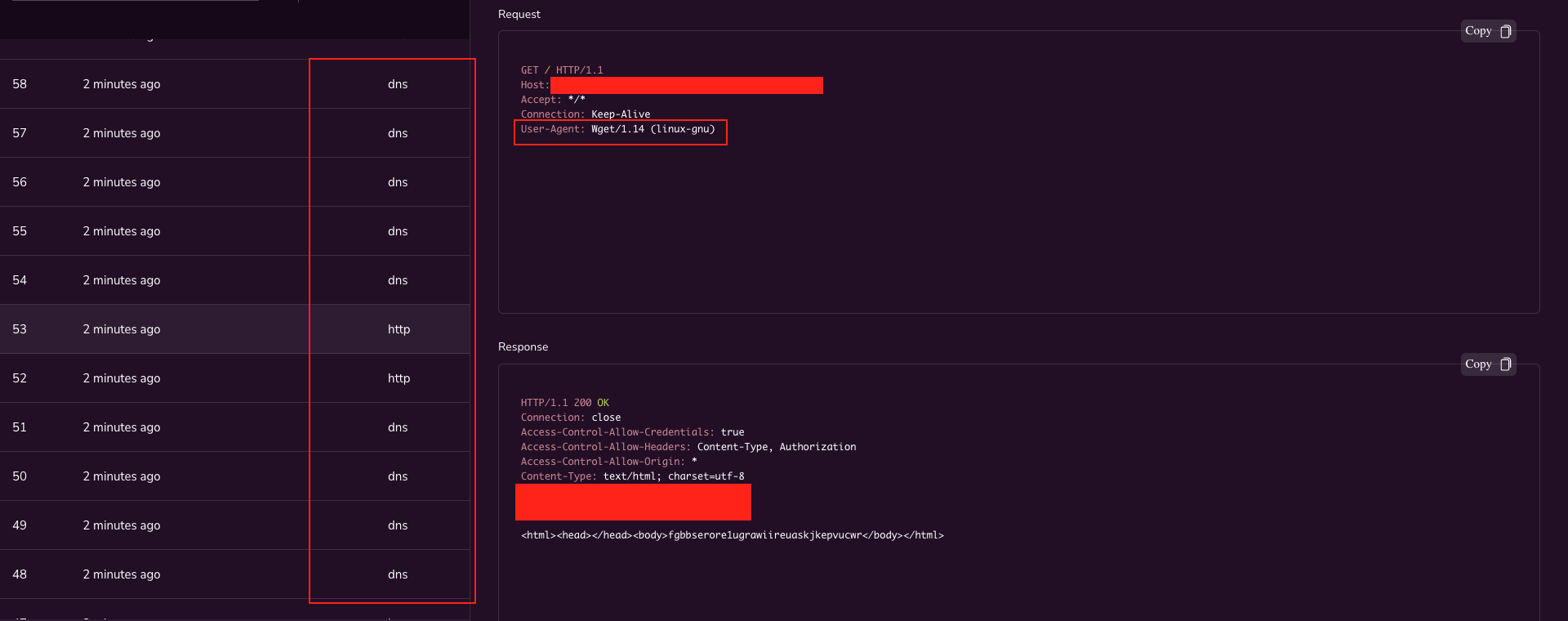 http_dns_requests_from_targets