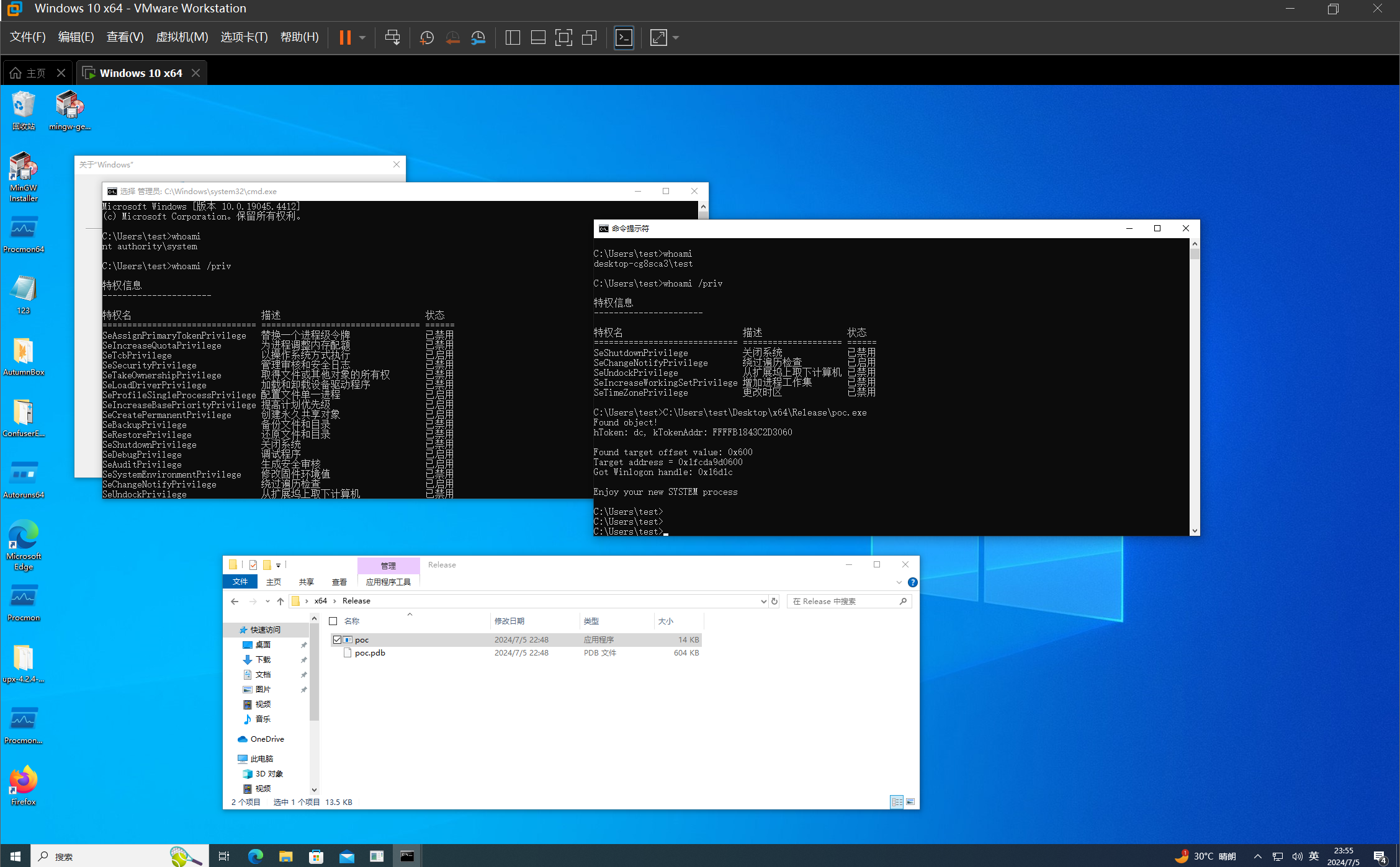 Windows 10 x64 - VMware Workstation 2024_7_5 23_55_20