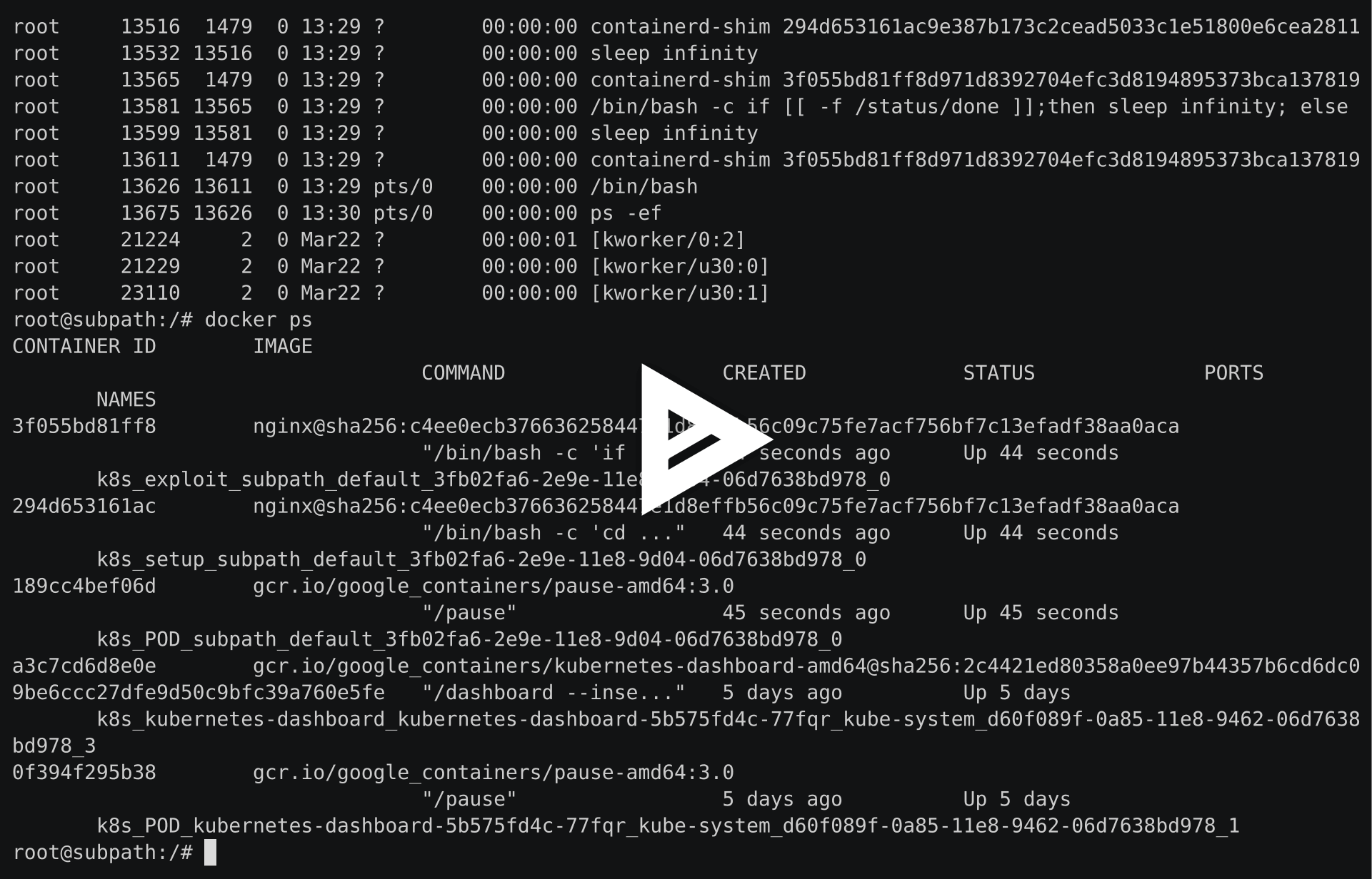 asciicast