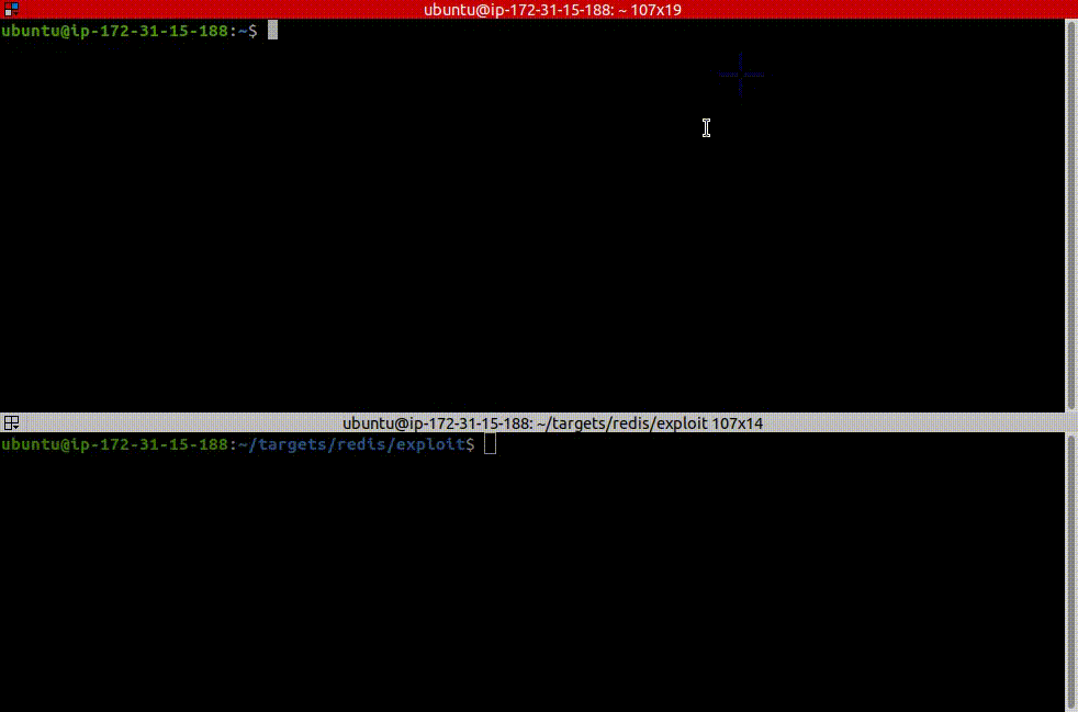 redis_7.0.11_docker.gif