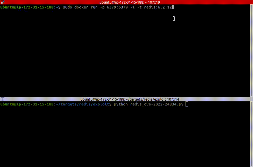 redis_6.2.12_docker.gif
