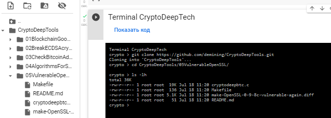 Búsqueda de monedas BTC en versiones anteriores de Bitcoin Core con la vulnerabilidad crítica OpenSSL 0.9.8 CVE-2008-0166