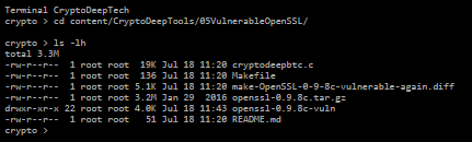 Búsqueda de monedas BTC en versiones anteriores de Bitcoin Core con la vulnerabilidad crítica OpenSSL 0.9.8 CVE-2008-0166