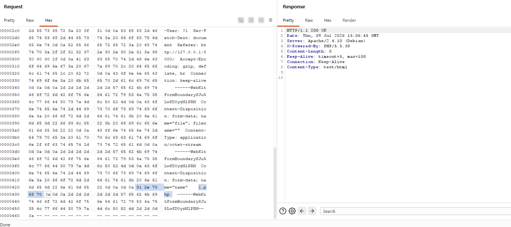 Tela de modificação hexadecimal no Burp Suite