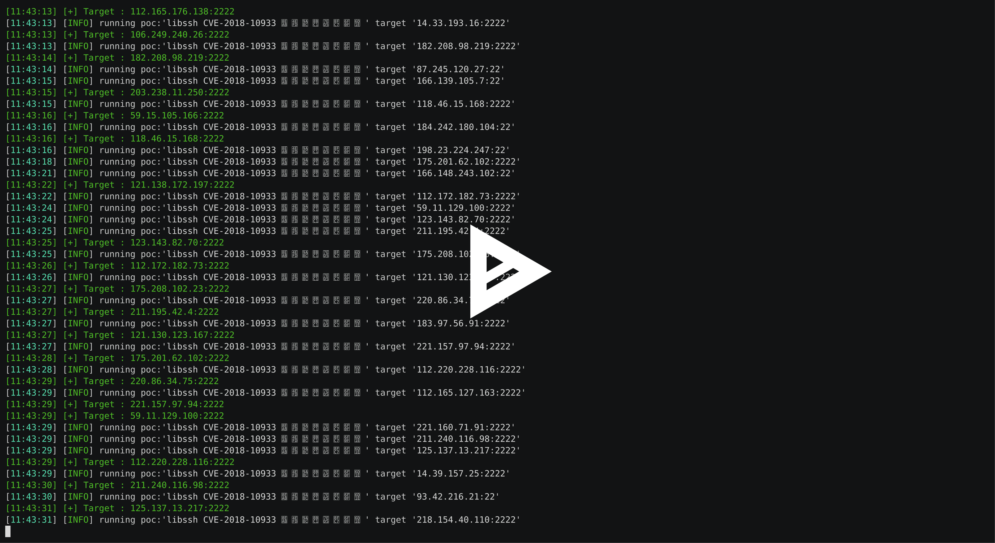 asciicast