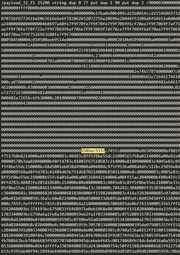 Изображение 35: payload_32_f1