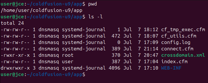 connect.cfm sull'host Ubuntu