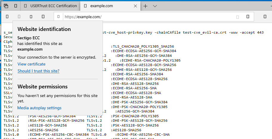 спуфинг example.com