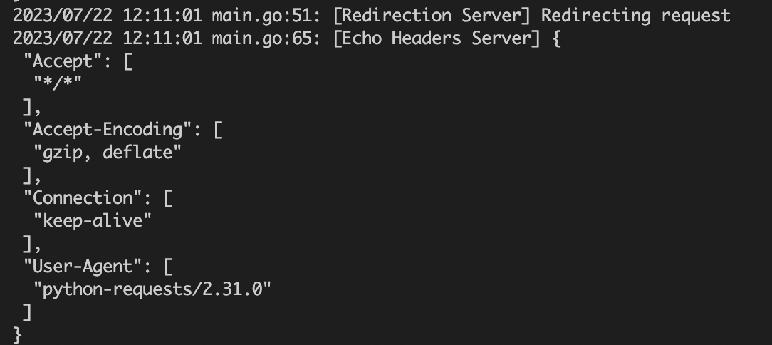 requests_2_31_0_server_output