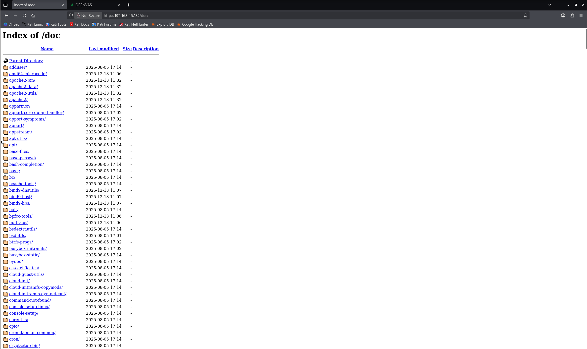 Prueba de vulnerabilidad
