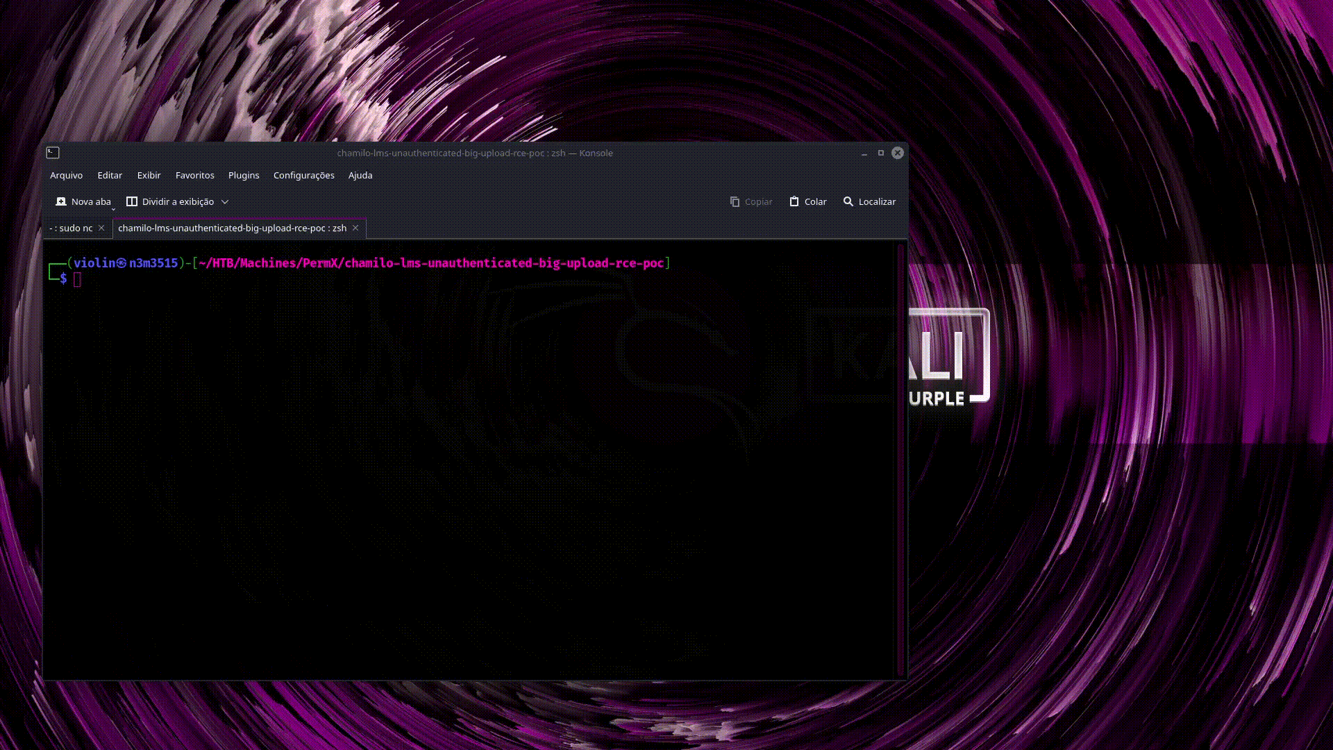 webshell-demo