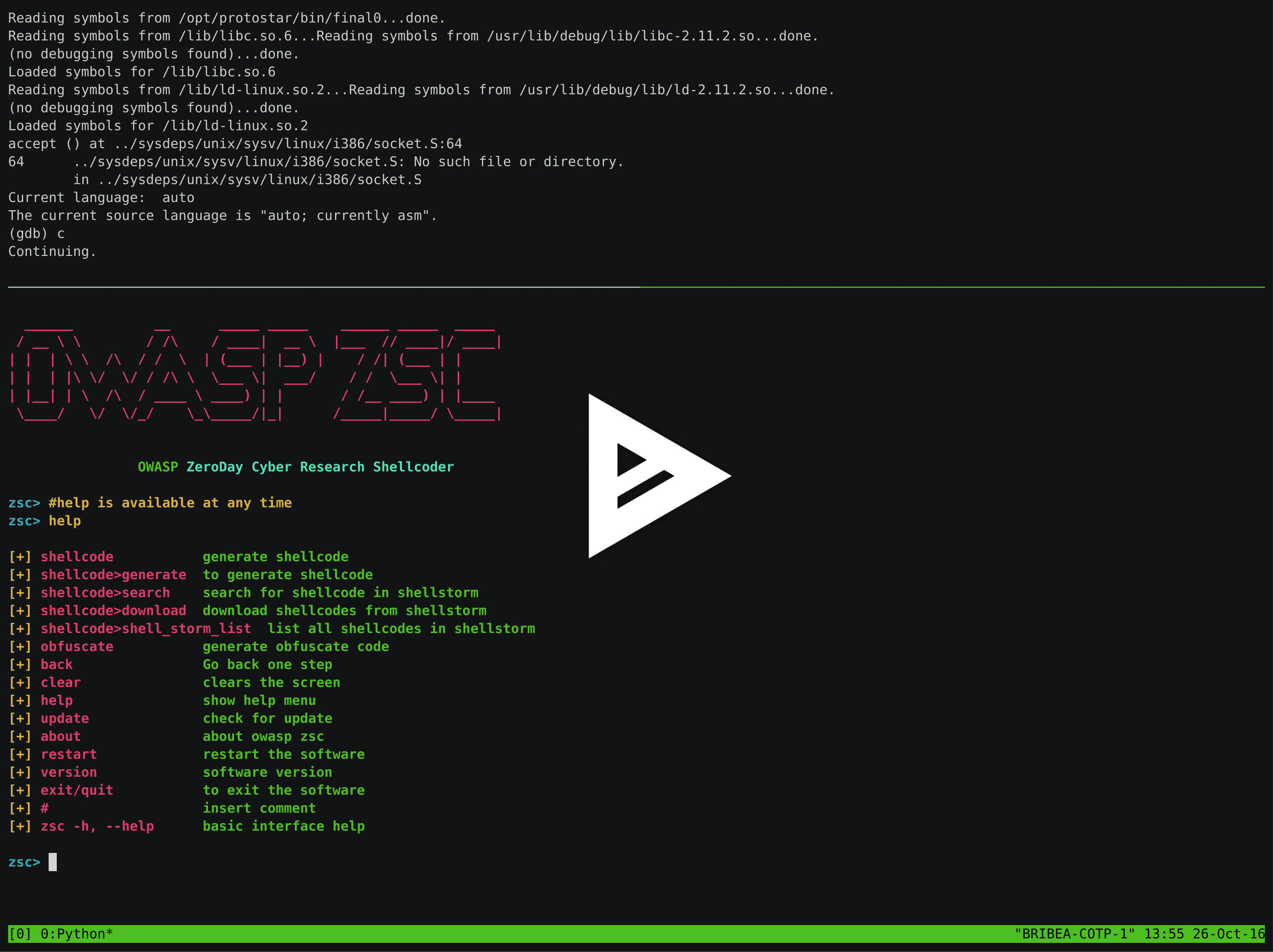 asciicast
