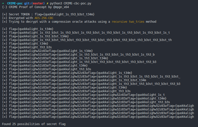 asciicast