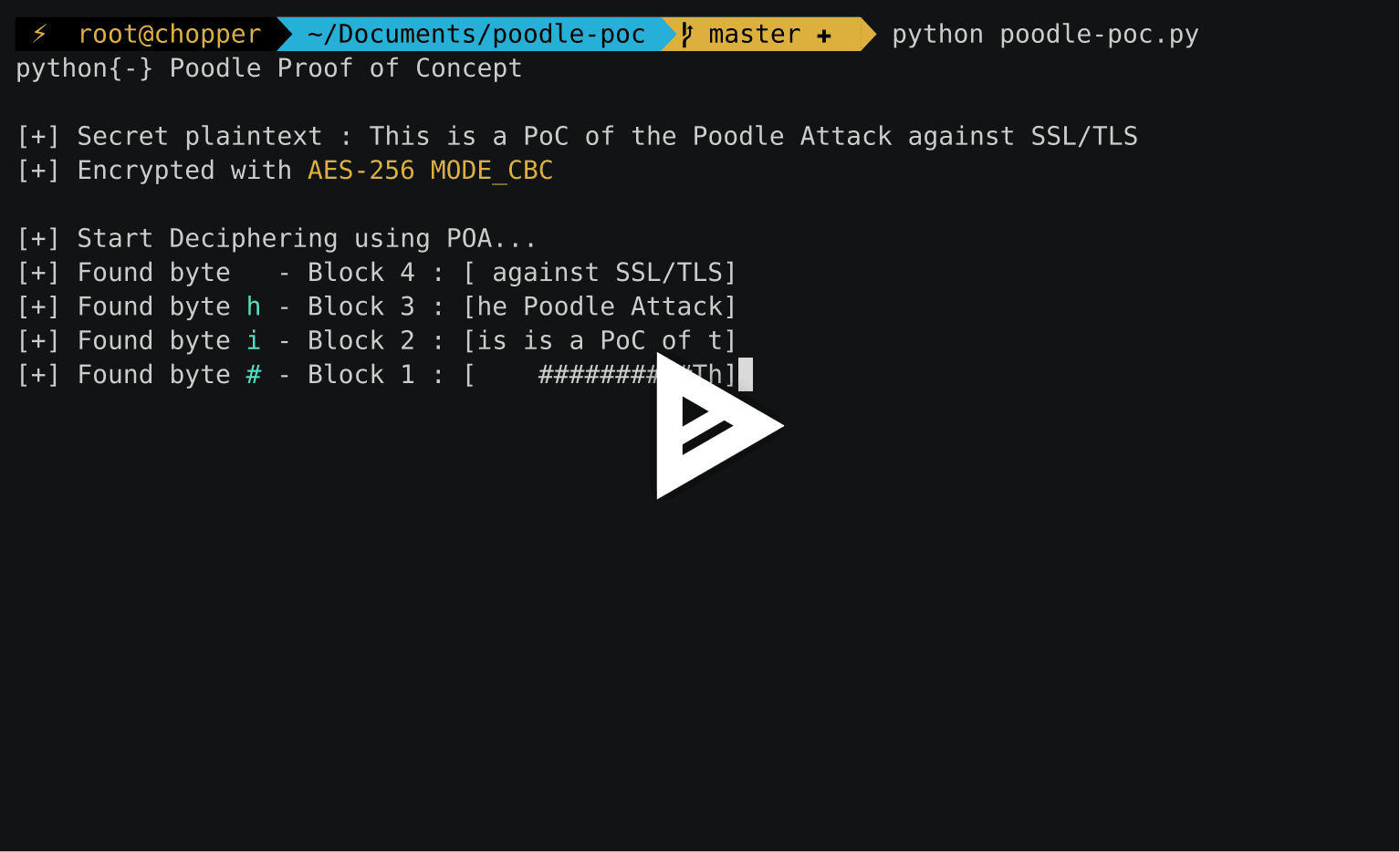 asciicast