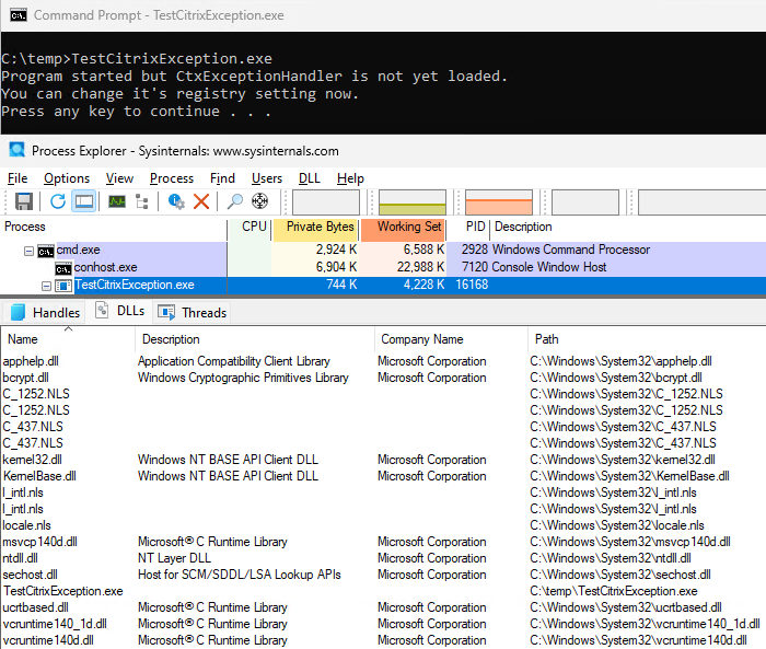 TestCitrixException.exe loaded DLLs