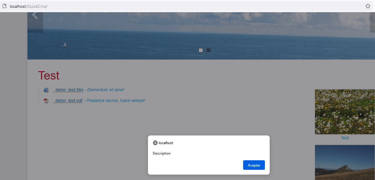XSS-Ergebnis-Payload-Dateibeschreibung