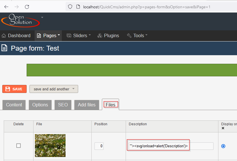 XSS-Payload-Dateibeschreibung