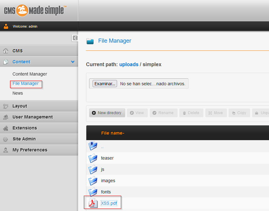 XSS pdf file upload