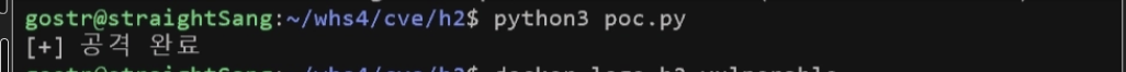 poc.py execution