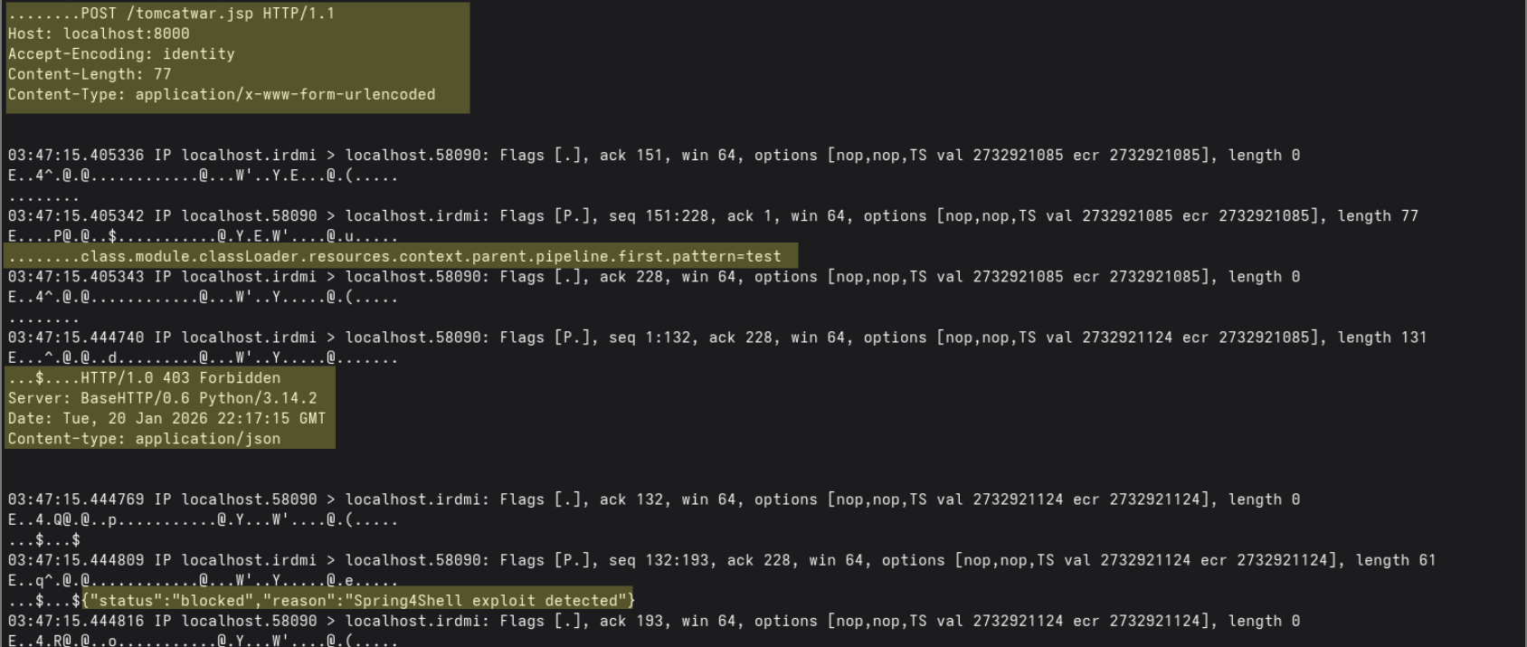 PCAP Analysis