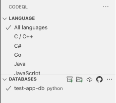 Screenshot: CodeQL Database selected