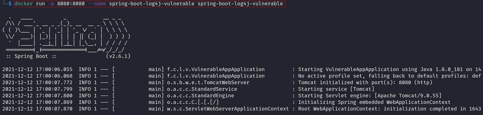 spring-boot-v2.6.1