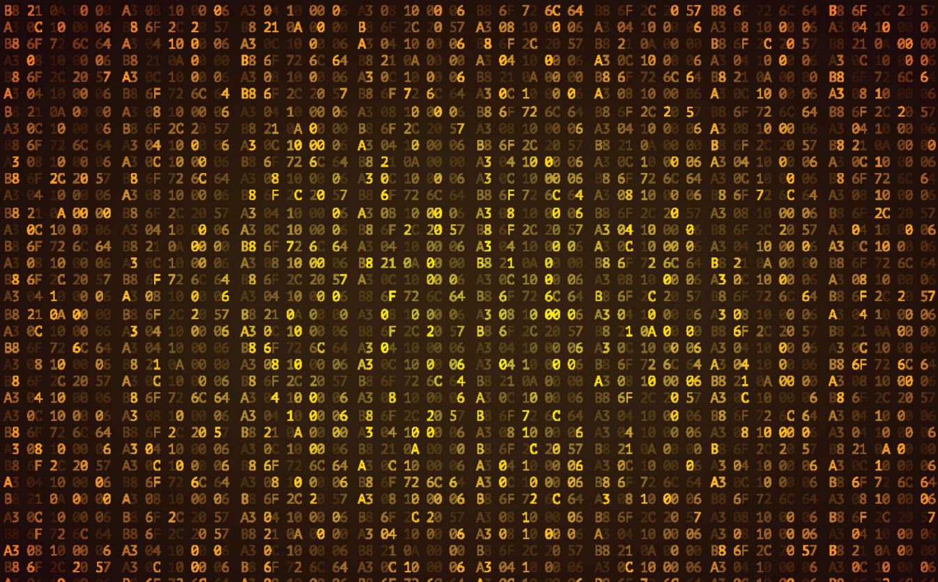Datos ocultos en imagen sin procesar