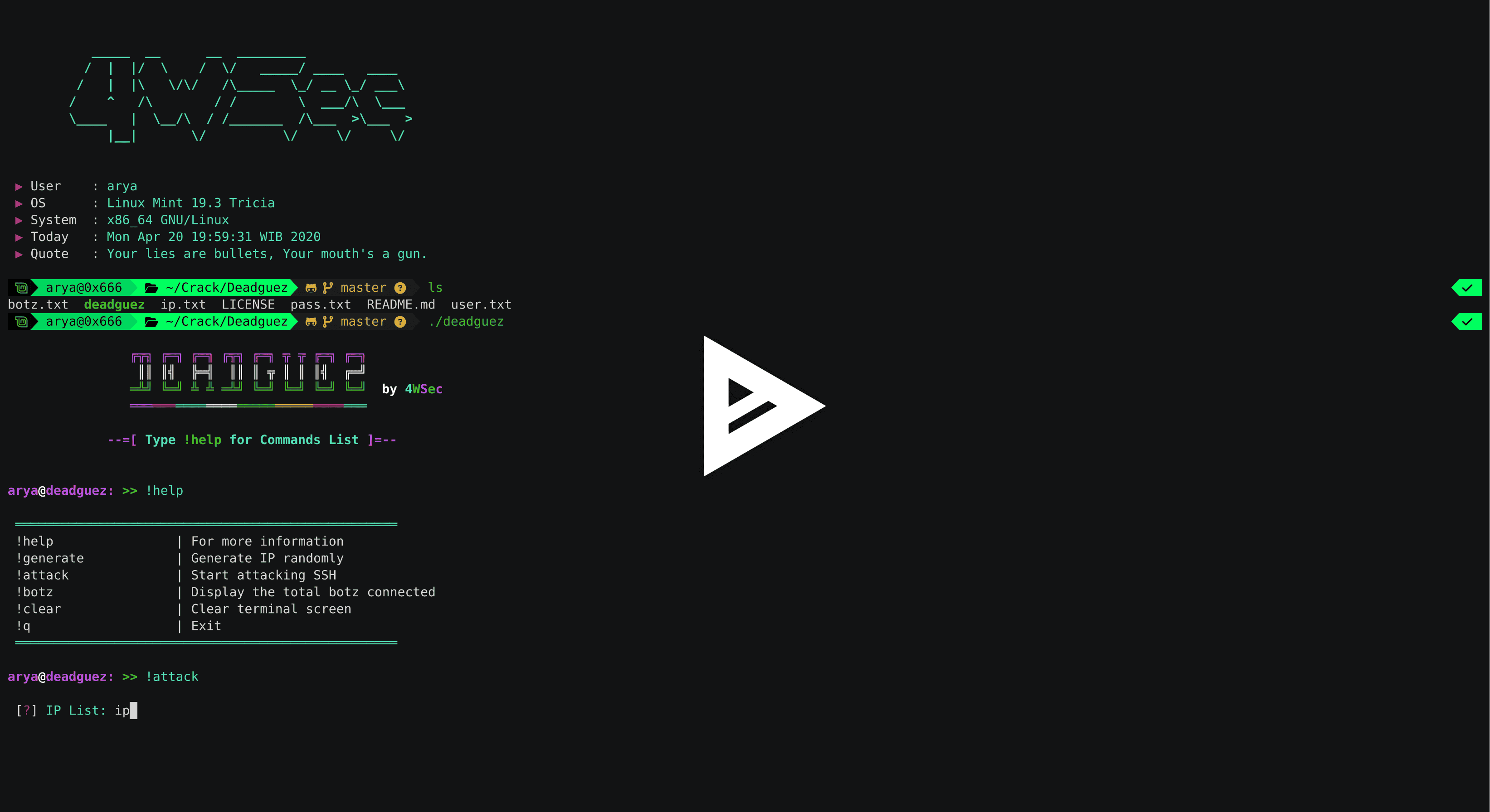 asciicast